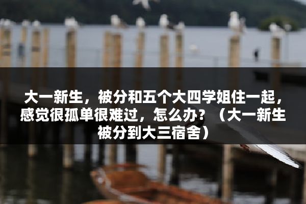 大一新生，被分和五个大四学姐住一起，感觉很孤单很难过，怎么办？（大一新生被分到大三宿舍）