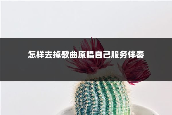 怎样去掉歌曲原唱自己服务伴奏
