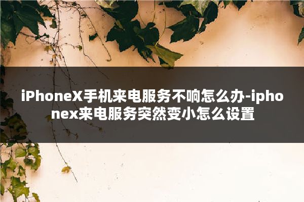 iPhoneX手机来电服务不响怎么办-iphonex来电服务突然变小怎么设置