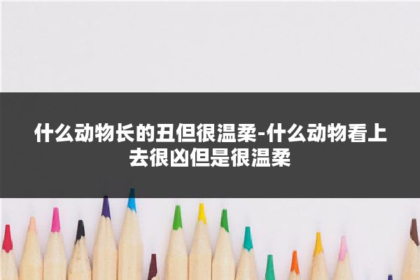 什么动物长的丑但很温柔-什么动物看上去很凶但是很温柔