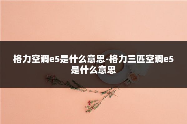 格力空调e5是什么意思-格力三匹空调e5是什么意思