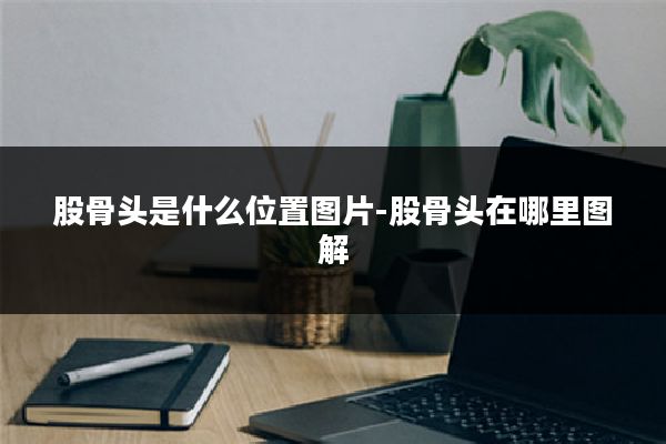 股骨头是什么位置图片-股骨头在哪里图解