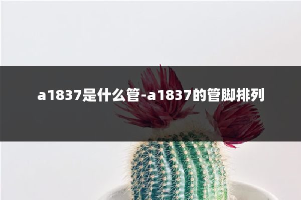 a1837是什么管-a1837的管脚排列