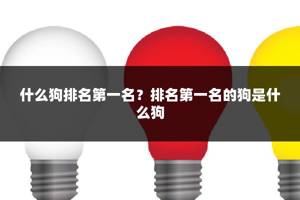 什么狗排名第一名?排名第一名的狗是什么狗