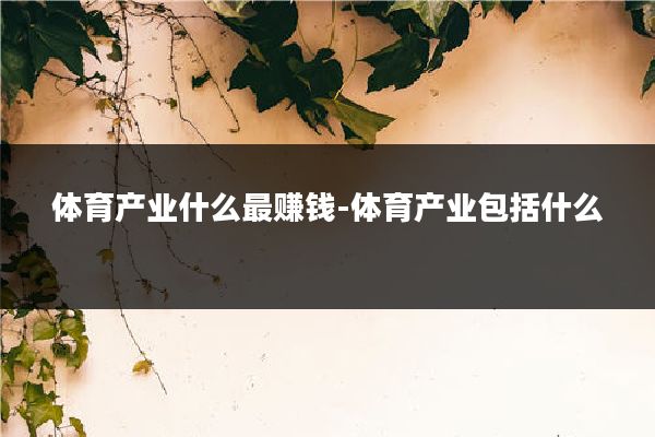 体育产业什么最赚钱-体育产业包括什么