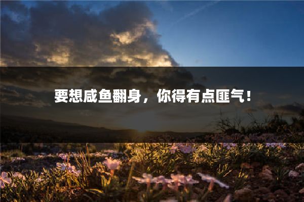 要想咸鱼翻身,你得有点匪气!