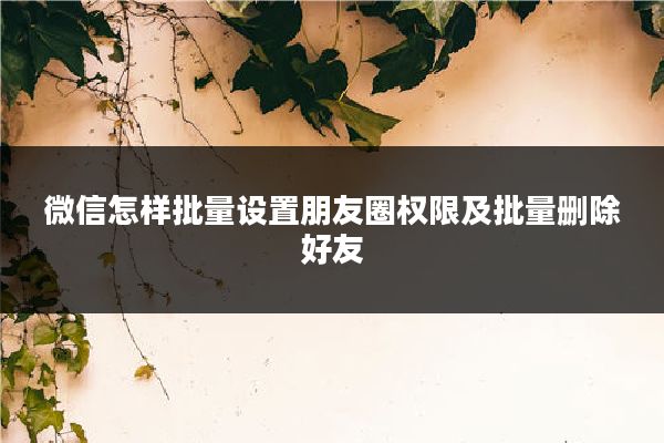 微信怎样批量设置朋友圈权限及批量删除好友