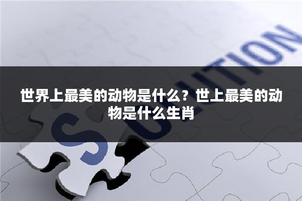 世界上最美的动物是什么？世上最美的动物是什么生肖