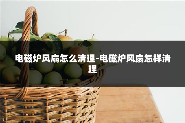 电磁炉风扇怎么清理-电磁炉风扇怎样清理