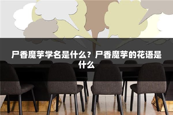 尸香魔芋学名是什么？尸香魔芋的花语是什么