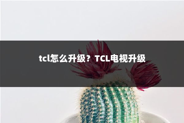 tcl怎么升级？TCL电视升级