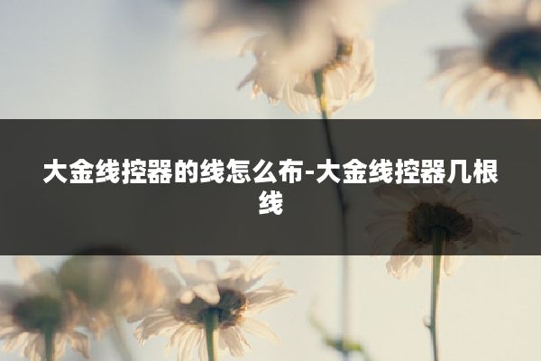大金线控器的线怎么布-大金线控器几根线