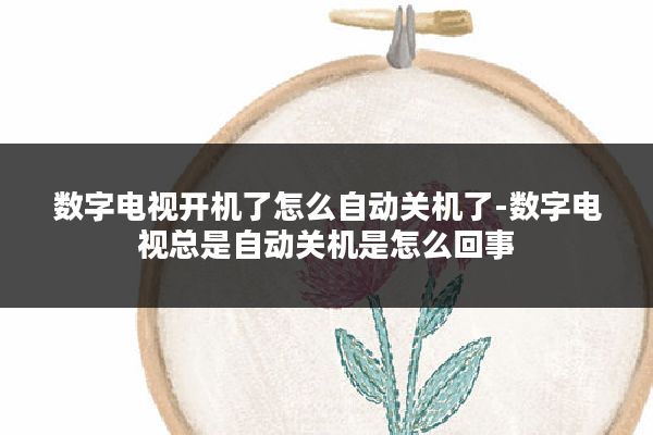 数字电视开机了怎么自动关机了-数字电视总是自动关机是怎么回事