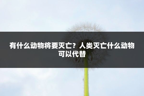 有什么动物将要灭亡?人类灭亡什么动物可以代替