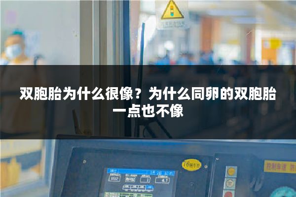 双胞胎为什么很像？为什么同卵的双胞胎一点也不像