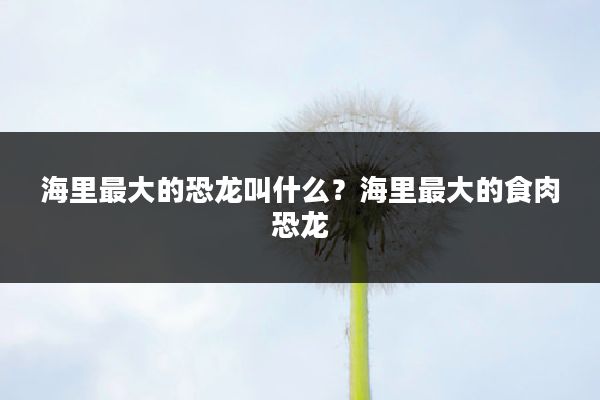 海里最大的恐龙叫什么？海里最大的食肉恐龙