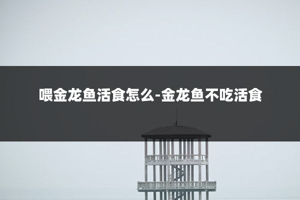 喂金龙鱼活食怎么-金龙鱼不吃活食