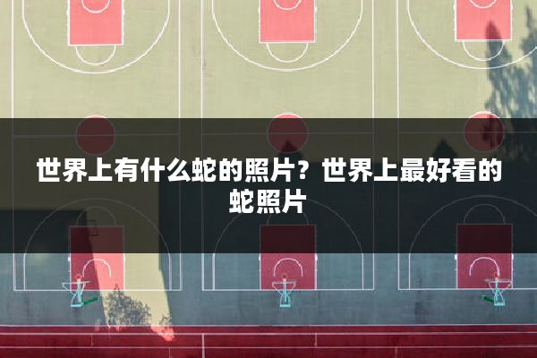 世界上有什么蛇的照片?世界上最好看的蛇照片
