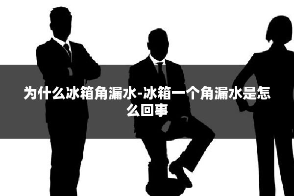 为什么冰箱角漏水-冰箱一个角漏水是怎么回事