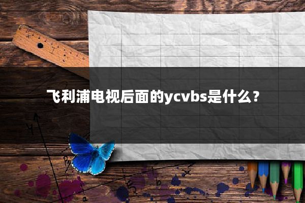 飞利浦电视后面的ycvbs是什么？