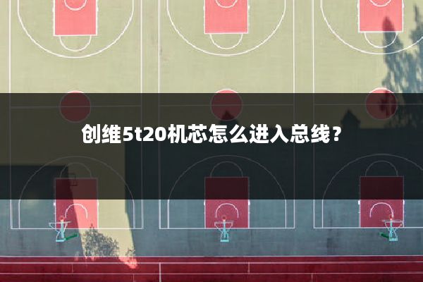 创维5t20机芯怎么进入总线?
