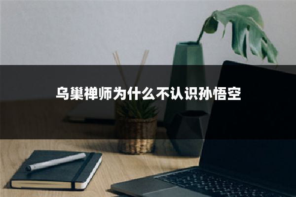 乌巢禅师为什么不认识孙悟空