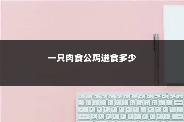 一只肉食公鸡进食多少