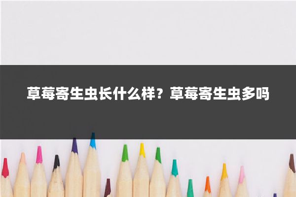 草莓寄生虫长什么样?草莓寄生虫多吗