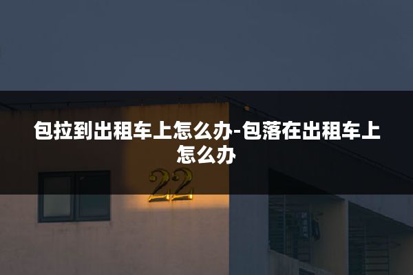 包拉到出租车上怎么办-包落在出租车上怎么办