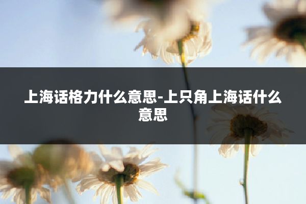 上海话格力什么意思-上只角上海话什么意思
