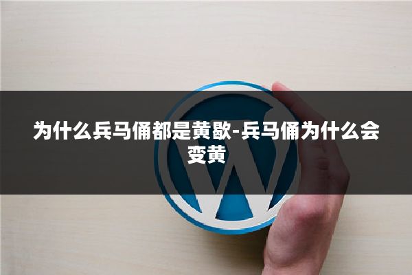 为什么兵马俑都是黄歇-兵马俑为什么会变黄