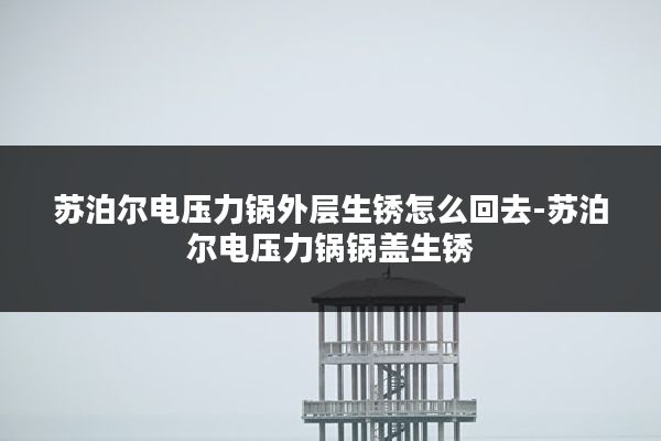 苏泊尔电压力锅外层生锈怎么回去-苏泊尔电压力锅锅盖生锈