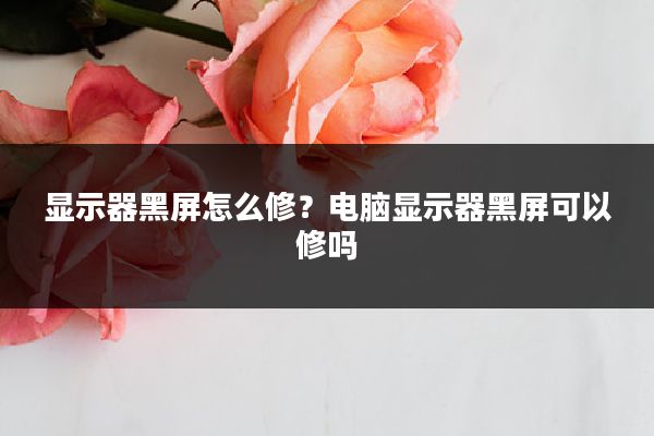 显示器黑屏怎么修?电脑显示器黑屏可以修吗