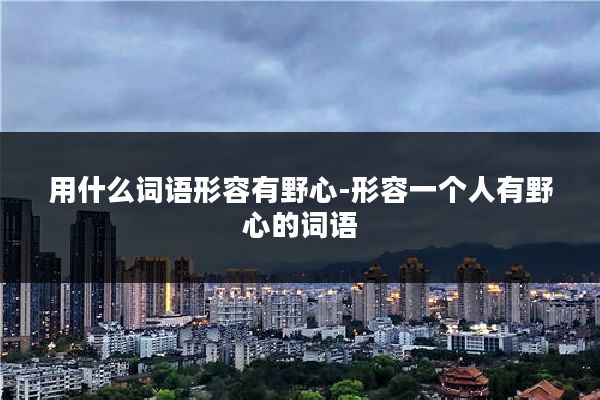 用什么词语形容有野心-形容一个人有野心的词语