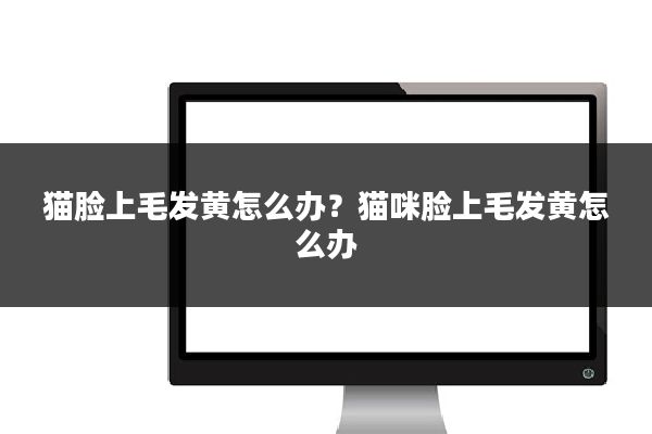 猫脸上毛发黄怎么办？猫咪脸上毛发黄怎么办