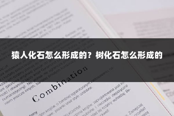 猿人化石怎么形成的？树化石怎么形成的