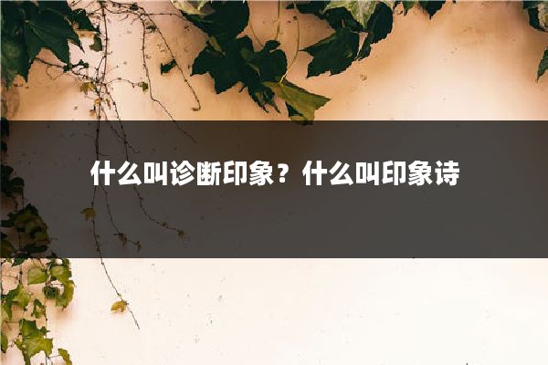 什么叫诊断印象？什么叫印象诗