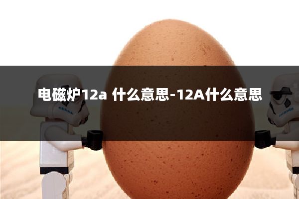 电磁炉12a 什么意思-12A什么意思