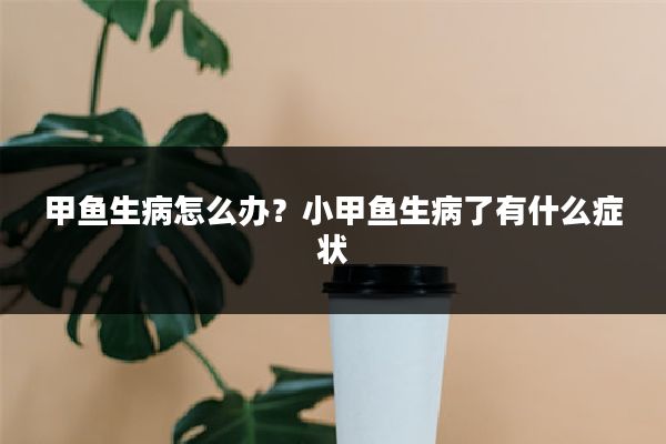 甲鱼生病怎么办？小甲鱼生病了有什么症状
