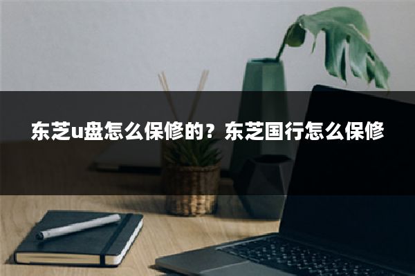东芝u盘怎么保修的？东芝国行怎么保修