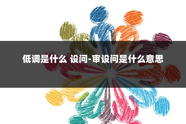 低调是什么 设问-审设问是什么意思