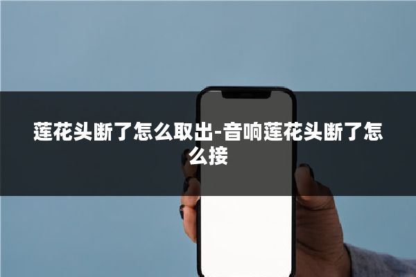 莲花头断了怎么取出-音响莲花头断了怎么接