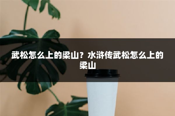 武松怎么上的梁山？水浒传武松怎么上的梁山