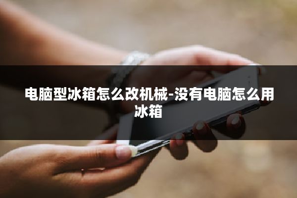 电脑型冰箱怎么改机械-没有电脑怎么用冰箱