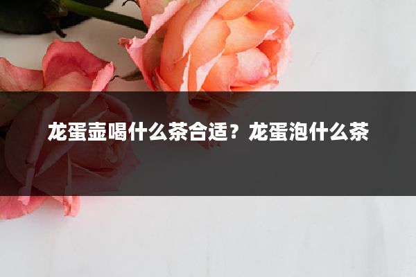 龙蛋壶喝什么茶合适?龙蛋泡什么茶