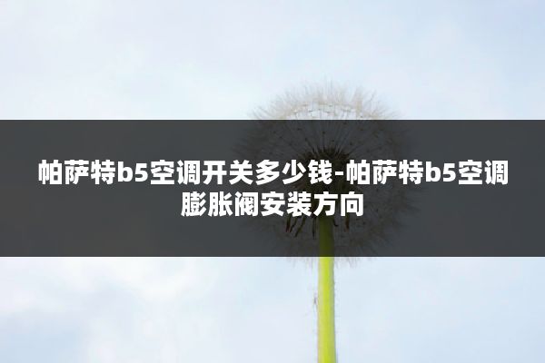 帕萨特b5空调开关多少钱-帕萨特b5空调膨胀阀安装方向