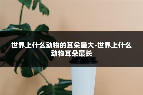 世界上什么动物的耳朵最大-世界上什么动物耳朵最长