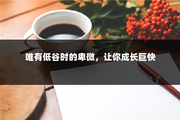 唯有低谷时的卑微,让你成长巨快