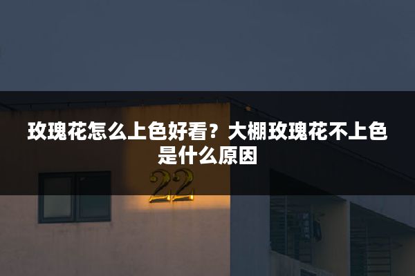玫瑰花怎么上色好看？大棚玫瑰花不上色是什么原因