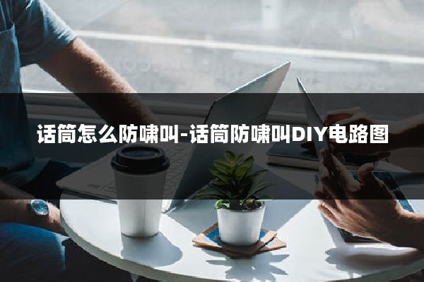 话筒怎么防啸叫-话筒防啸叫DIY电路图